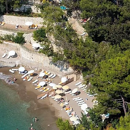 Alara Star 5*